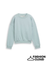 Afbeelding in Gallery-weergave laden, TOM TAILOR DENIM CREWNECK SWEATSHIRT silver cloud blue
